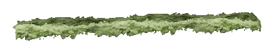 ch1_06d_hedge_01, a vegetation piece of the GTA V map in Richman Glen