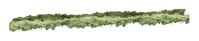 ch1_06d_hedge_02, a vegetation piece of the GTA V map in Richman Glen
