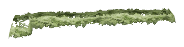 ch1_06d_hedge_03, a vegetation piece of the GTA V map in Richman Glen