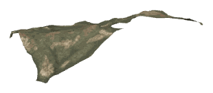 ch1_06d_slod, a super-low-detail (SLOD) model of the GTA V map in Richman Glen