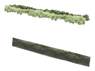 ch1_06e_hedgedecal_06, a vegetation piece of the GTA V map in Vinewood Hills
