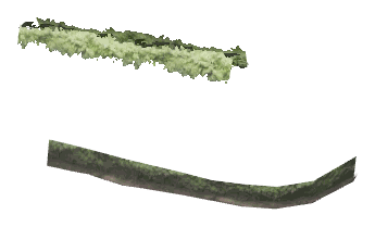ch1_06e_hedgedecal_08, a vegetation piece of the GTA V map in Vinewood Hills