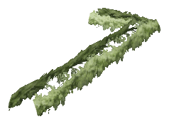 ch1_06e_hedgedecal_09, a vegetation piece of the GTA V map in Vinewood Hills