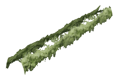 ch1_06e_hedgedecal_10, a vegetation piece of the GTA V map in Vinewood Hills