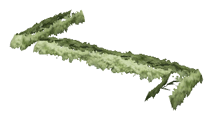ch1_06e_hedgedecal_11, a vegetation piece of the GTA V map in Vinewood Hills