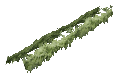 ch1_06e_hedgedecal_12, a vegetation piece of the GTA V map in Vinewood Hills