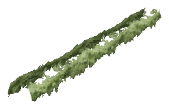 ch1_06e_hedgedecal_13, a vegetation piece of the GTA V map in Vinewood Hills