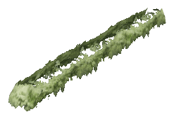 ch1_06e_hedgedecal_15, a vegetation piece of the GTA V map in Richman