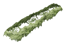 ch1_06e_hedgedecal_16, a vegetation piece of the GTA V map in Vinewood Hills