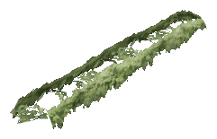ch1_06e_hedgedecal_17, a vegetation piece of the GTA V map in Richman