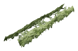 ch1_06e_hedgedecal_18, a vegetation piece of the GTA V map in Richman
