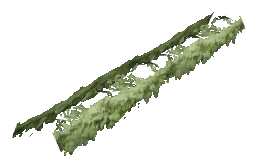 ch1_06e_hedgedecal_19, a vegetation piece of the GTA V map in Richman