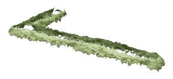 ch1_06e_hedgedecal_20, a vegetation piece of the GTA V map in Richman