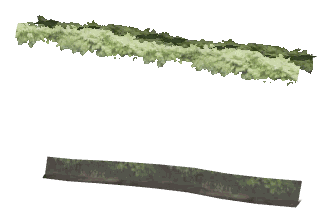 ch1_06e_hedgedecal_37, a vegetation piece of the GTA V map in Richman