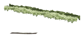 ch1_06e_hedgedecal_38, a vegetation piece of the GTA V map in Richman