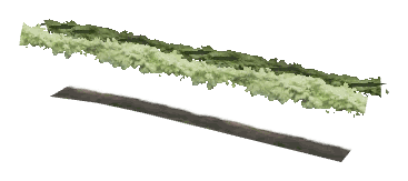ch1_06e_hedgedecal_46, a vegetation piece of the GTA V map in Richman