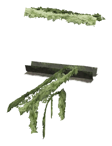 ch1_06e_hedgedecal_57, a vegetation piece of the GTA V map in Richman