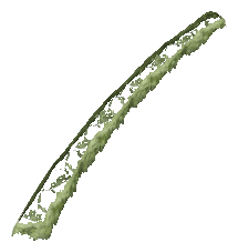 ch1_06e_hedgedecal_66, a vegetation piece of the GTA V map in Richman