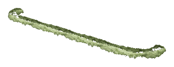 ch1_06e_hedgedecal_67, a vegetation piece of the GTA V map in Richman