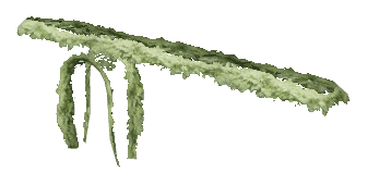 ch1_06e_hedgedecal_69, a vegetation piece of the GTA V map in Vinewood Hills