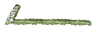 ch1_06f_hedged_03, a vegetation piece of the GTA V map in Richman