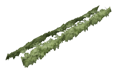 ch1_06f_hedged_05, a vegetation piece of the GTA V map in Richman