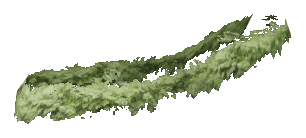 ch1_06f_hedged_06, a vegetation piece of the GTA V map in Richman