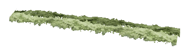 ch1_06f_hedged_08, a vegetation piece of the GTA V map in Richman