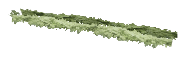 ch1_06f_hedged_09, a vegetation piece of the GTA V map in Richman