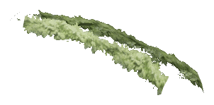 ch1_06f_hedged_10, a vegetation piece of the GTA V map in Richman