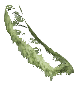 ch1_06f_hedged_12, a vegetation piece of the GTA V map in Richman