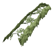 ch1_06f_hedged_13, a vegetation piece of the GTA V map in Richman
