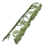 ch1_06f_hedged_14, a vegetation piece of the GTA V map in Richman