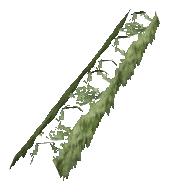 ch1_06f_hedged_16, a vegetation piece of the GTA V map in Richman