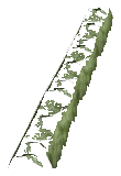 ch1_06f_hedged_19, a vegetation piece of the GTA V map in Richman