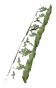 ch1_06f_hedged_20, a vegetation piece of the GTA V map in Richman
