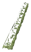 ch1_06f_hedged_22, a vegetation piece of the GTA V map in Richman