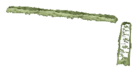 ch1_06f_hedged_24, a vegetation piece of the GTA V map in Richman