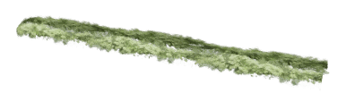 ch1_06f_hedged_25, a vegetation piece of the GTA V map in Richman