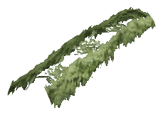 ch1_06f_hedged_32, a vegetation piece of the GTA V map in Richman