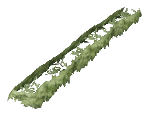 ch1_06f_hedged_33, a vegetation piece of the GTA V map in Richman