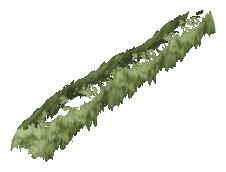 ch1_06f_hedged_34, a vegetation piece of the GTA V map in Richman
