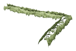 ch1_06f_hedged_35, a vegetation piece of the GTA V map in Richman