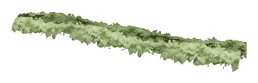 ch1_06f_hedged_36, a vegetation piece of the GTA V map in Richman