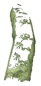 ch1_06f_hedged_37, a vegetation piece of the GTA V map in Richman