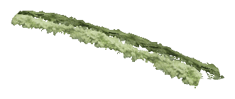 ch1_06f_hedged_39, a vegetation piece of the GTA V map in Richman