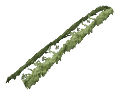 ch1_06f_hedged_40, a vegetation piece of the GTA V map in Richman