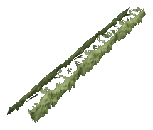 ch1_06f_hedged_41, a vegetation piece of the GTA V map in Richman