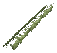 ch1_06f_hedged_42, a vegetation piece of the GTA V map in Richman