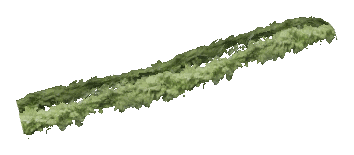 ch1_06f_hedged_44, a vegetation piece of the GTA V map in Richman
